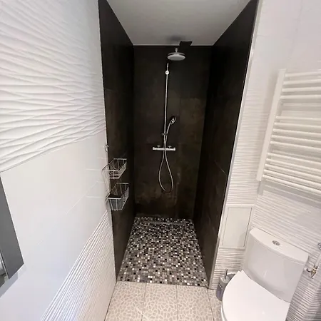 T3 Portes D'annecy Sauna Apartment *