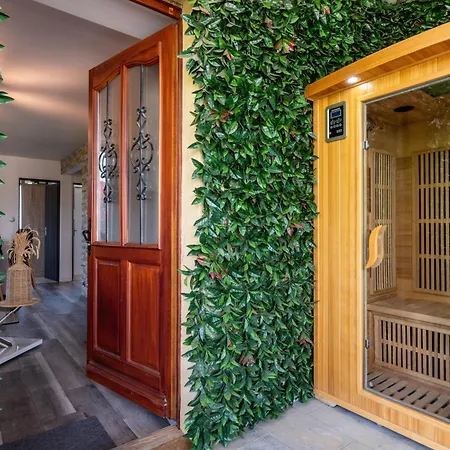 T3 Portes D'annecy Sauna Annecy